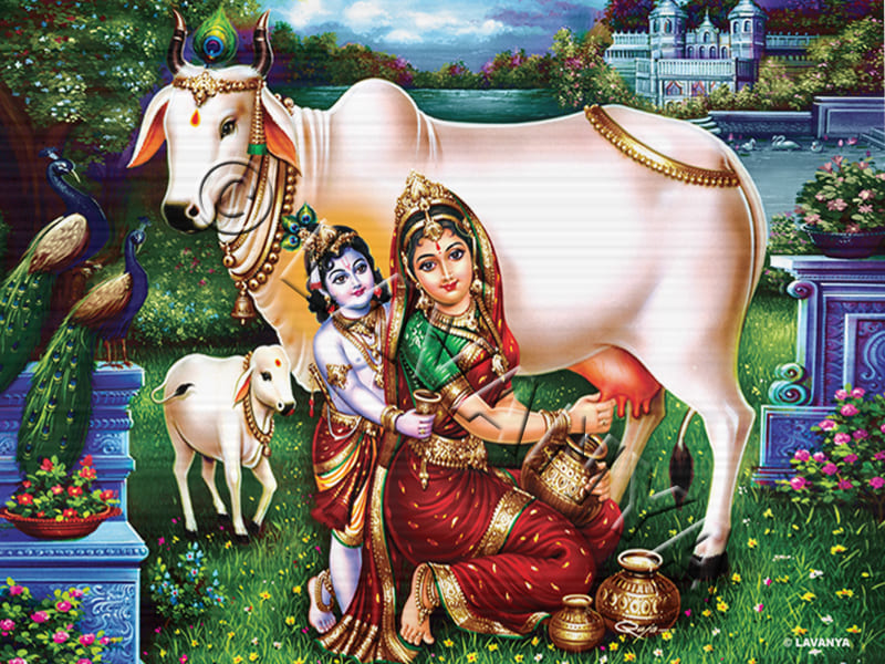 Yashodha Krishna with Cow