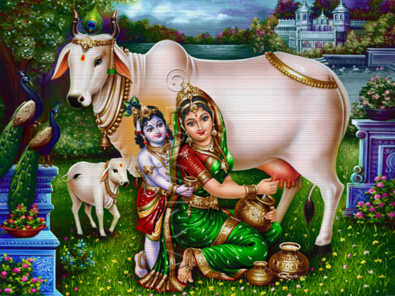 Yashodha Krishna with Cow